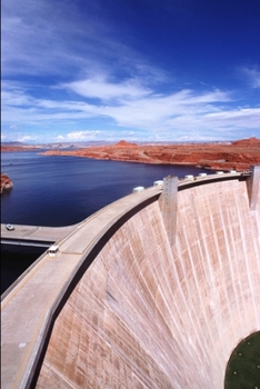 Paperback Complete Soft Beams and Columns Source Code Book