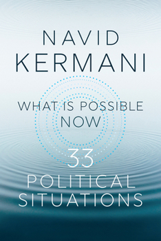 Paperback What Is Possible Now: 33 Political Situations Book