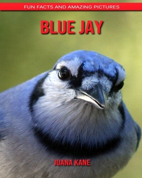 Blue Jay: Fun Facts and Amazing Pictures