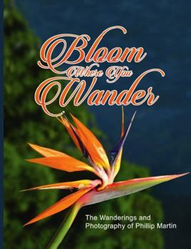 Hardcover Bloom Where You Wander (matte cover): The Wanderings and Photography of Phillip Martin Book