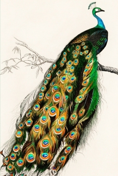 Journal: Indian Pea Fowl Peacock