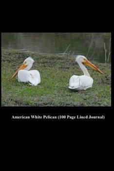 Paperback American White Pelican (100 Page Lined Journal): Blank 100 Page Lined Journal for Your Thoughts, Ideas, and Inspiration Book