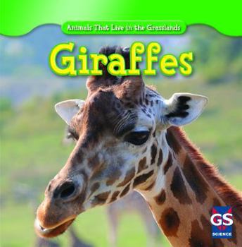 Giraffes - Book  of the Animals That Live in the Grasslands