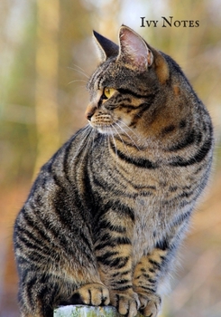 Paperback Ivy Notes: Blank Ruled Notebook and Funny Office Journal Entries -Manager or Co-Worker writing pad- Great Gag Gift Notebook Book