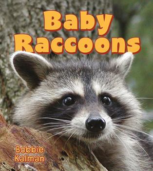Hardcover Baby Raccoons Book