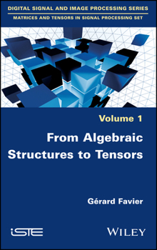 Misc. From Algebraic Structures to Tensors Book