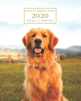 Paperback 2020: Weekly and Monthly Planner/Calendar Jan 2020 - Dec 2020 Golden Retriever Book