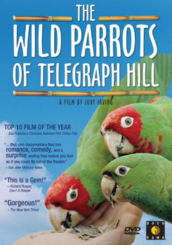 Wild Parrots of Telegraph Hill DVD