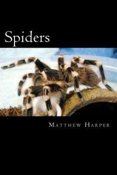 Paperback Spiders: A Fascinating Book Containing Spider Facts, Trivia, Images & Memory Recall Quiz: Suitable for Adults & Children Book