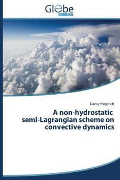 Paperback A Non-Hydrostatic Semi-Lagrangian Scheme on Convective Dynamics Book