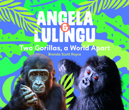 Hardcover Angela & Lulingu: Two Gorillas, a World Apart Book