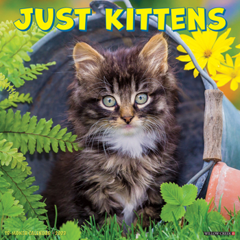 Calendar Just Kittens 2023 Wall Calendar Book