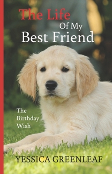 The Life Of My Best Friend: The Birthday Wish