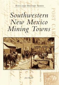 Paperback Southwestern New Mexico Mining Towns Book