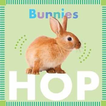 Bunnies Hop - Book  of the Amicus Ink Animal Board Books