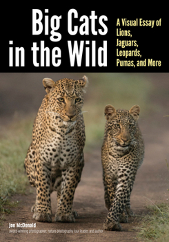 Paperback Big Cats in the Wild: A Visual Essay of Lions, Jaguars, Leopards, Pumas, and More Book