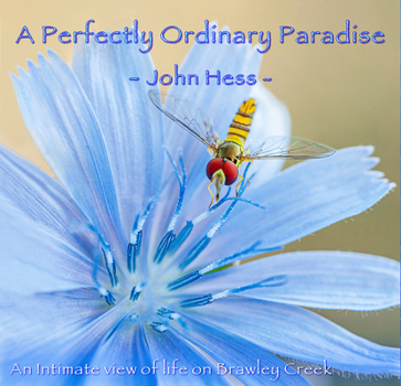 Hardcover A Perfectly Ordinary Paradise: An Intimate View of Life on Brawley Creek Book