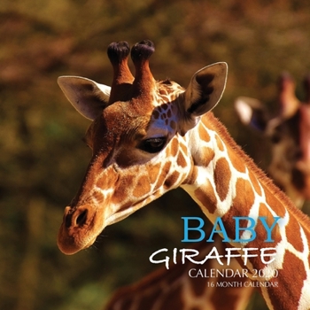 Paperback Baby Giraffe Calendar 2020: 16 Month Calendar Book