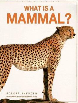 Paperback What Is a Mammal? Book