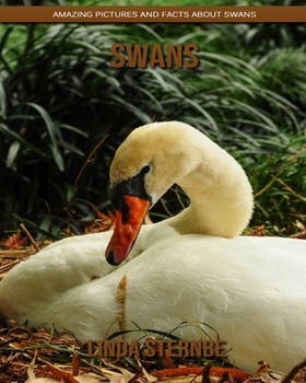 Paperback Swans: Amazing Pictures and Facts About Swans Book