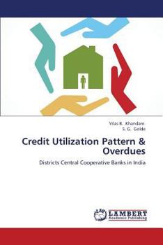 Paperback Credit Utilization Pattern & Overdues Book