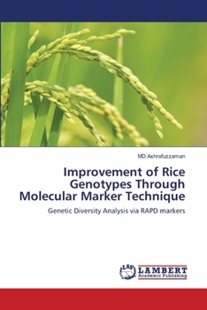 Paperback Improvement of Rice Genotypes Through Molecular Marker Technique Book