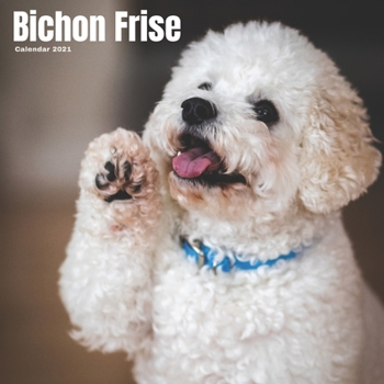 Paperback Bichon Frise Calendar 2021: Dog Breed Calendar 2021, Wall And Office Calendar Book