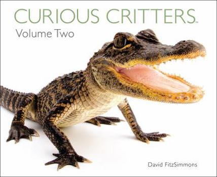 Hardcover Curious Critters Volume Two Book