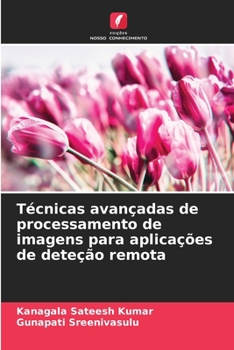 Técnicas avançadas de processamento de imagens para aplicações de deteção remota (Portuguese Edition)