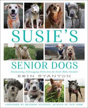 Hardcover Susie's Senior Dogs Book