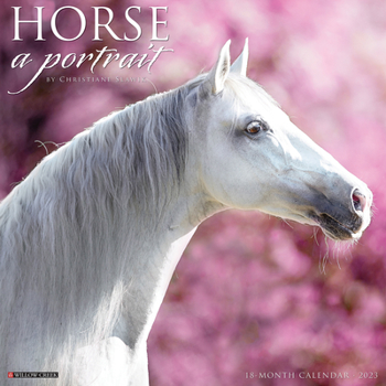 Calendar Horse: A Portrait 2023 Wall Calendar Book