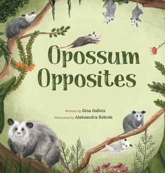 Hardcover Opossum Opposites Book