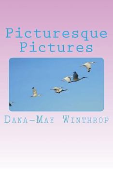 Paperback Picturesque Pictures Book