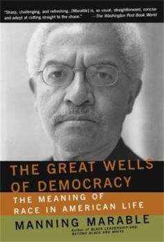 Paperback The Great Wells of Democracy: The Meaning of Race in American Life Book