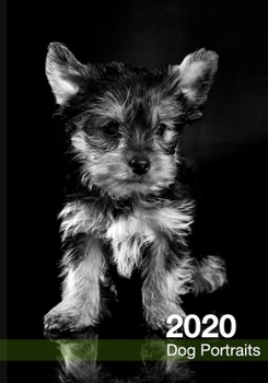 Paperback 2020 Dog Calendar: Black and White Dog Portraits Book