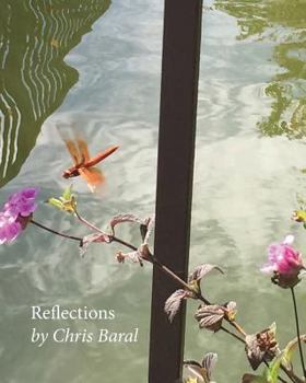 Paperback Reflections Book