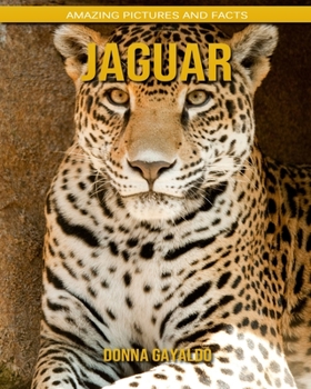Jaguar: Amazing Pictures and Facts