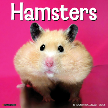 Calendar Hamsters 2026 Wall Calendar Book