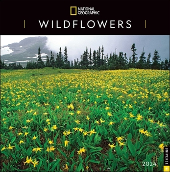 Calendar National Geographic: Wildflowers 2024 Wall Calendar Book