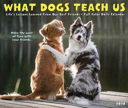 Calendar What Dogs Teach Us 2020 Box Calendar Book