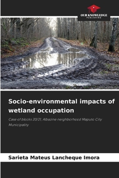 Paperback Socio-environmental impacts of wetland occupation Book
