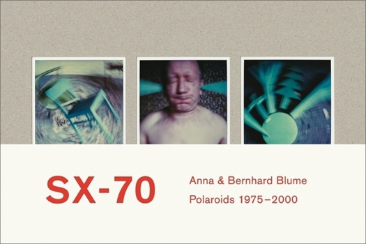 Hardcover Anna & Bernhard Blume: Polaroid-Collages 1975-2000 Book
