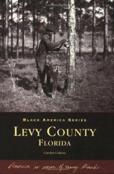 Paperback Levy County, Florida Book