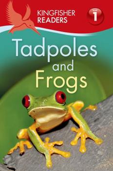 Paperback Tadpoles and Frogs Book