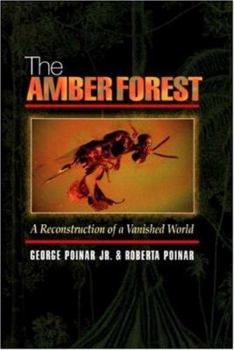 Hardcover The Amber Forest: A Reconstruction of a Vanished World Book