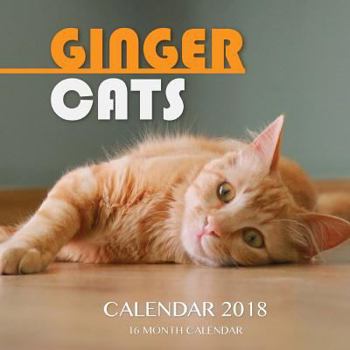 Paperback Ginger Cats Calendar 2018: 16 Month Calendar Book