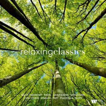 Vinyl Relaxing Classics / Various Book