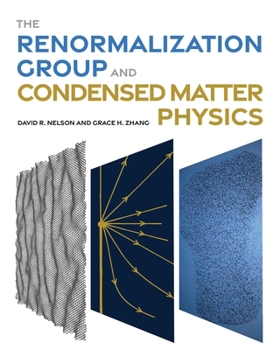 Hardcover The Renormalization Group and Condensed Matter Physics Book