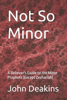 Paperback Not So Minor: A Believer's Guide to the Minor Prophets (Except Zechariah) Book