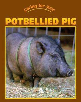 Paperback Caring for Your Potbellied Pig Book